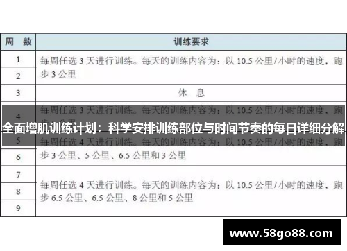 全面增肌训练计划：科学安排训练部位与时间节奏的每日详细分解